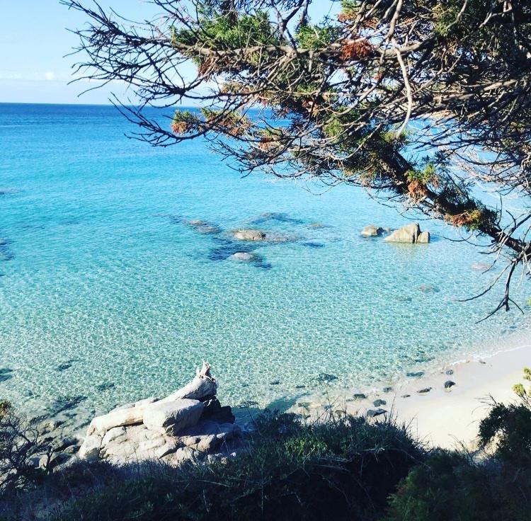 Sardinia Seaview&spapool Villa *