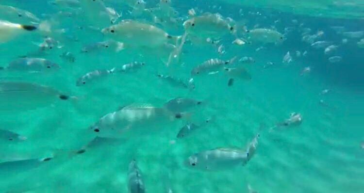 Sardinia Seaview&spapool *