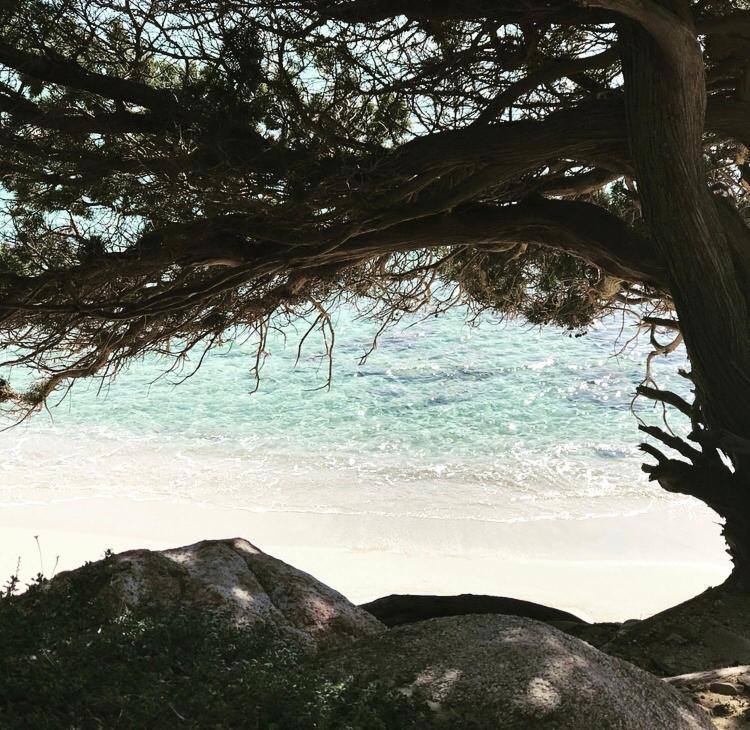 Sardinia Seaview&spapool Villa Villasimius
